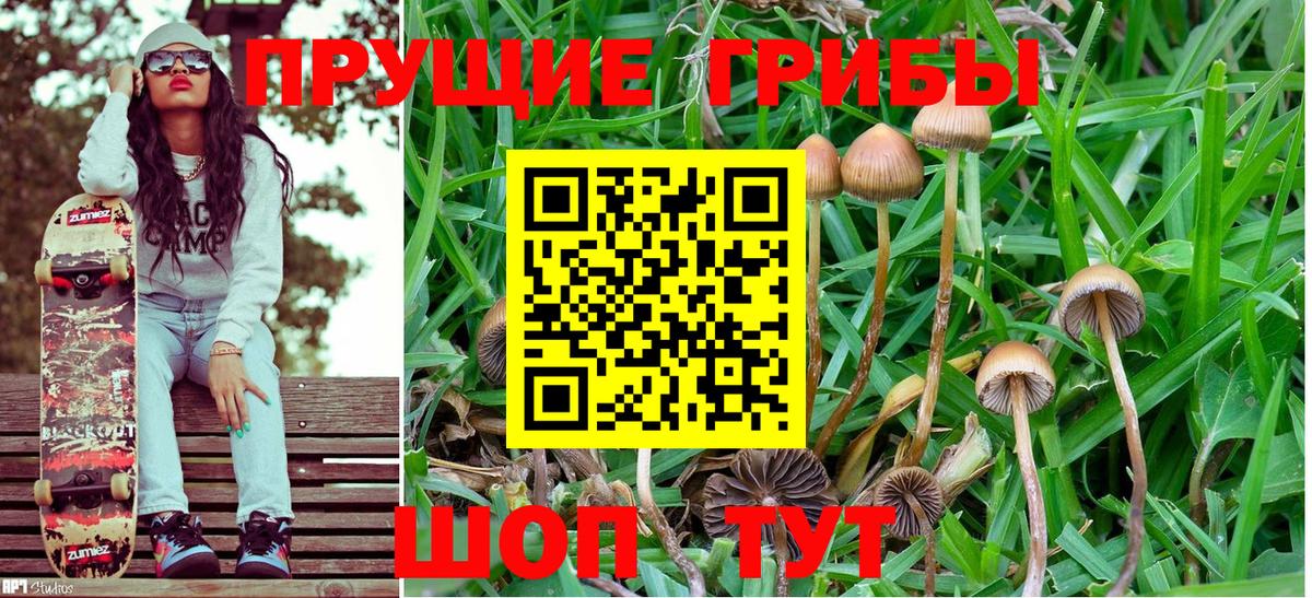 Елизово  Галлюциногенные грибы Cubensis  Вход с VPN  где купить наркотик  Галлюциногенные грибы MAGIC MUSHROOMS 